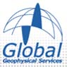 Global Geophysical Services, Inc.