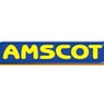 Amscot Financial