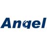 Angel Human Resources plc