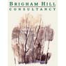 Brigham Hill Consultancy, Inc.