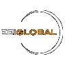 EEI Global, Inc.