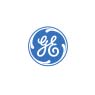 GE Capital Solutions Fleet Services