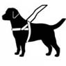 Guide Dog Foundation for the Blind, Inc.