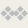 Homeland Security Capital Corporation