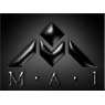 Magallanes Associates International, Inc.