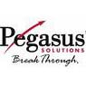 Pegasus Solutions, Inc.
