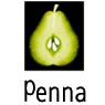 Penna Consulting Plc