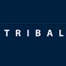 Tribal Group plc