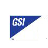 GSI Group Inc.
