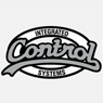Integrated Control Systems, Inc.