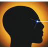 Integral Vision, Inc.