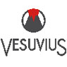 Vesuvius Group S.A./N.V.