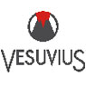 Vesuvius Group S.A./N.V.