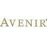 Avenir Group Inc.