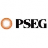 PSEG Resources L.L.C.