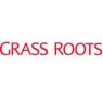 The Grass Roots Group PLC