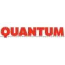 Quantum Loyalty Systems, Inc.