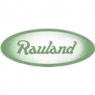 Rauland-Borg Corporation