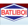 batliboi.jpg