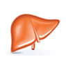 Liver Transplant In India