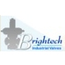 Brightech Valves and Controls Pvt. Ltd.