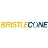 Bristlecone India Ltd
