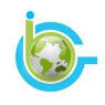 BrizGo Technology Solutions