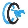 Colt Cables Private Limited