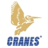 Cranes Software International Ltd