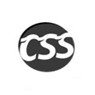 Css Player It Solutions Pvt. Ltd.