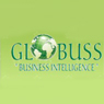 Global Business Solutions