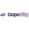 GrapeCity India Pvt Ltd