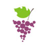 Grapes Software Pvt. Ltd