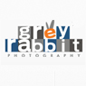 Grey Rabbit Photography