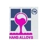 Shree Hans Alloys Ltd