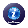 Indicium Assessment