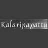 Kalari Academy of Performing Arts