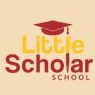 Little Scholar School