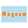 Magnum Telesystem Pvt Ltd
