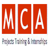 MCA Intern