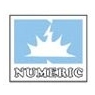 Numeric Power Systems
