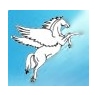 Pegasus InfoCorp (P) Limited