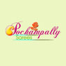 Pochampally Sarees 