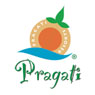 Pragati Green Meadows & Resorts Pvt. Ltd - Hyderabad