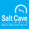 Salt Cave Asia