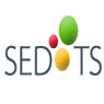 SEDOTS Info Technologies P Ltd