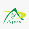 Apex International