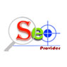 SEO Provider