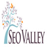 SEOValley Solutions Private Limited