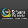 Software Web Solution